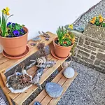 Апартаменты Alpengruss By Interhome *